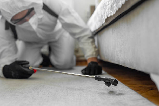 Professional Emergency Pest Control technician working in Clarkston Heights-Vineland, WA
