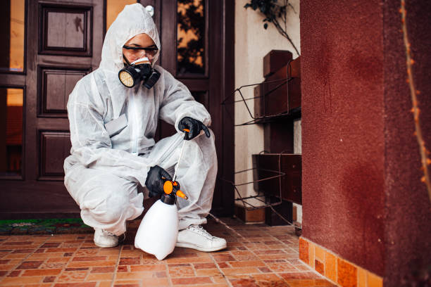 Reliable Emergency Pest Control contractor in Clarkston Heights-Vineland, WA by Nex Pest Control