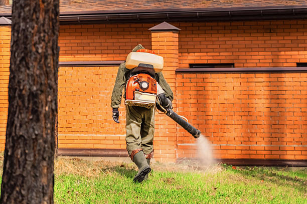 Trusted Rodent Control service in Clarkston Heights-Vineland, WA - Nex Pest Control